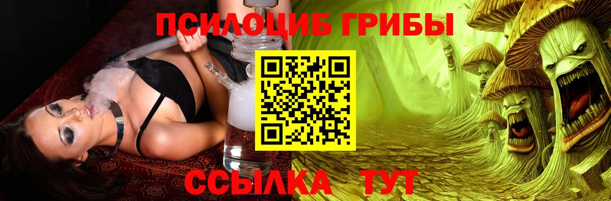 Серпухов  Псилоцибиновые грибы Cubensis  Вход с VPN 
